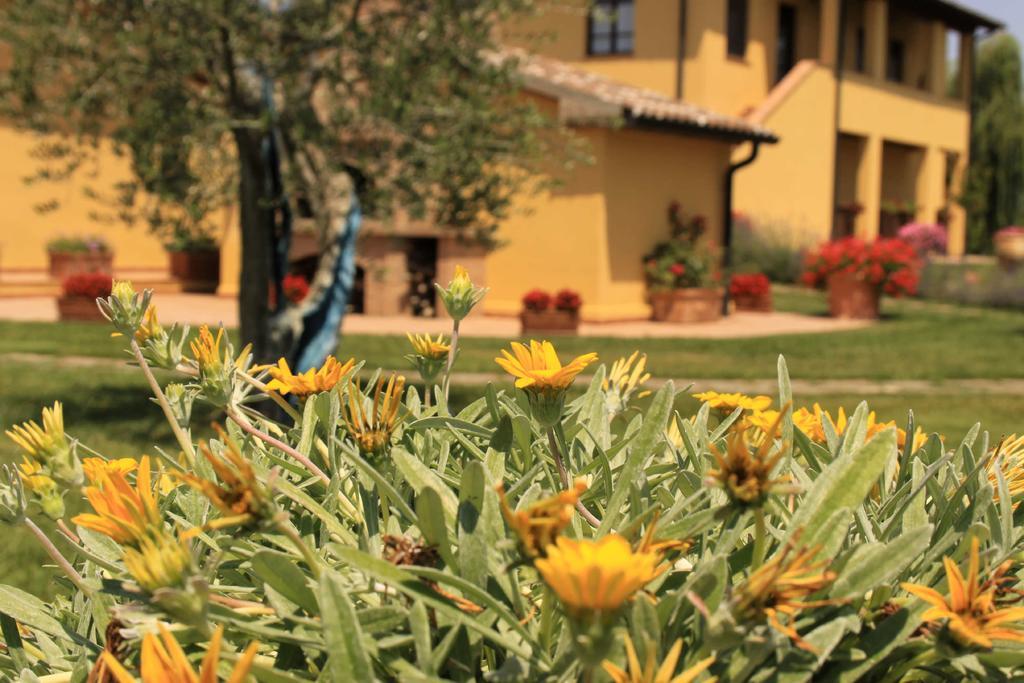 Podere Tre Cipressi Campiglia Marittima Εξωτερικό φωτογραφία